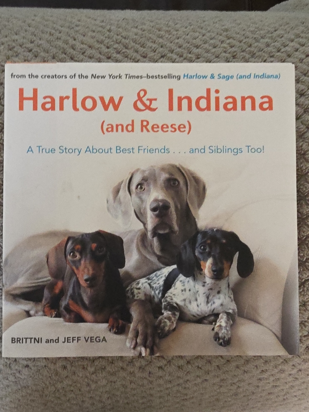 Harlow & Indiana (and Reese) - Dog Memoir Book in Orange/White Cover